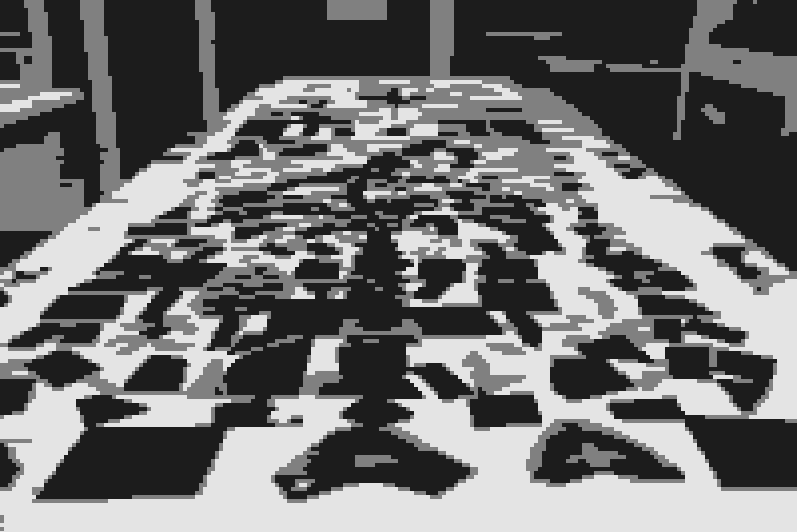 Mosaic Rooms reopens with a fresh focus on the Arab creative diaspora-image