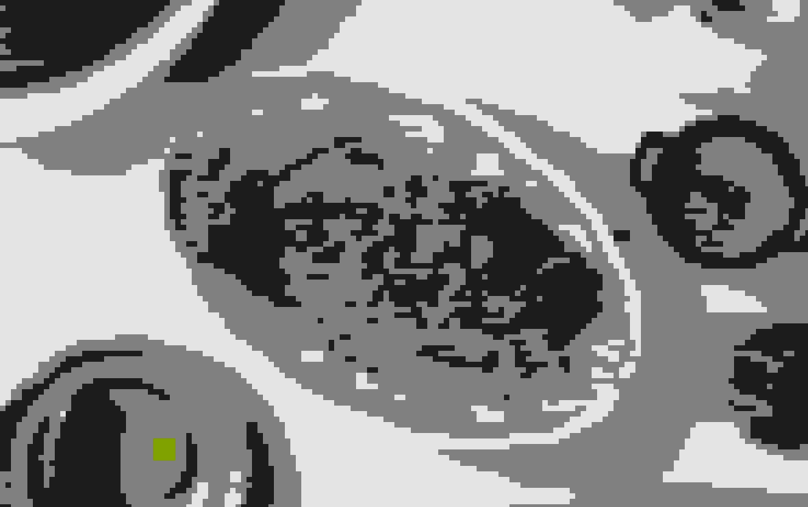 Nest in London reopens as Tavern with a new British bistro identity-image