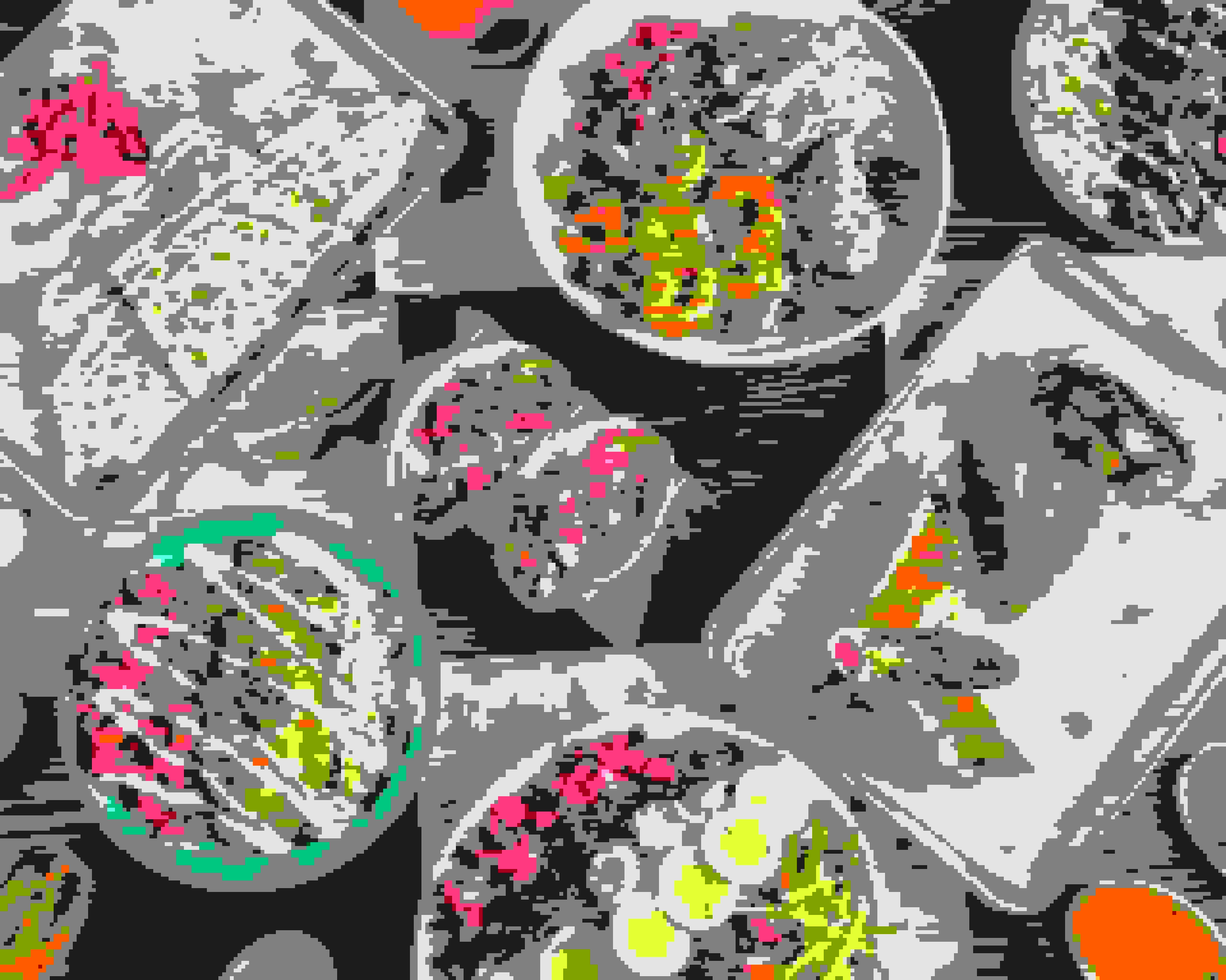 Celebrity Favourite Coyo Taco Makes the Move From Miami to London-image