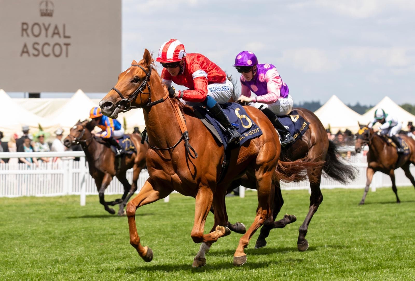 From racing to rugby: A summer of sports in London and beyond