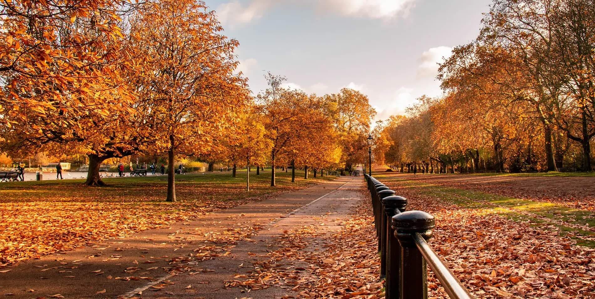 10 unmissable things to do in London this autumn